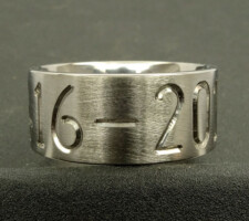 Mallard ducks in cypress trees on a single line duck band