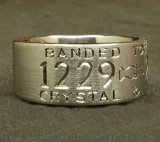 Client’s dog image becomes Labrador duck band wedding ring