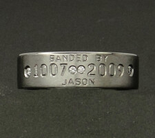 6mm titanium 3 line with diamond dash and highlights