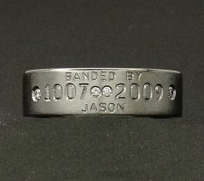 6mm titanium 3 line with diamond dash and highlights