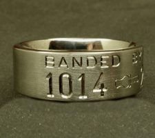 2 line titanium duck band with duck call dash and pair of nuzzling mallard heads