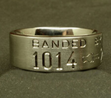 2 line titanium duck band with duck call dash and pair of nuzzling mallard heads